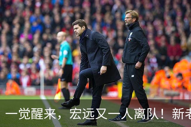 一觉醒来，宏远又一人离队！新老总杀伐果断，徐杰深夜发声，杜锋爱将被退货