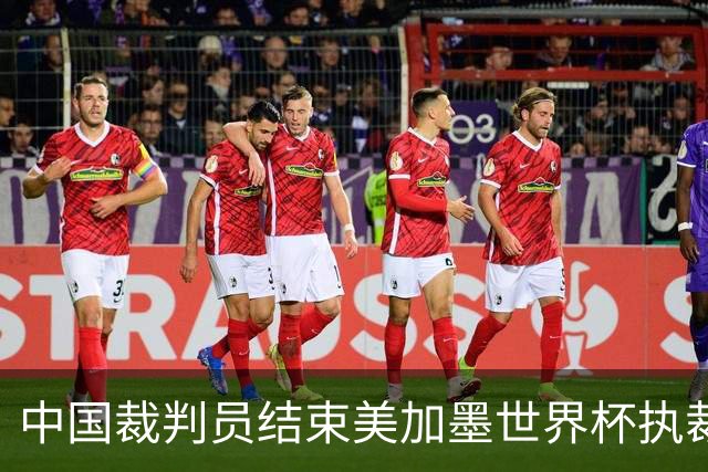 中国裁判员结束美加墨世界杯执裁任务