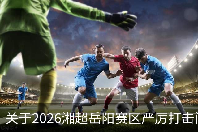 关于2026湘超岳阳赛区严厉打击门票黄牛倒卖行为及举报有奖的公告