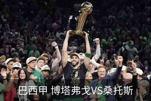 巴西甲 博塔弗戈VS桑托斯