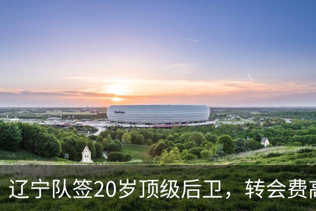 辽宁队签20岁顶级后卫，转会费高达8位数；北控官宣多名外援